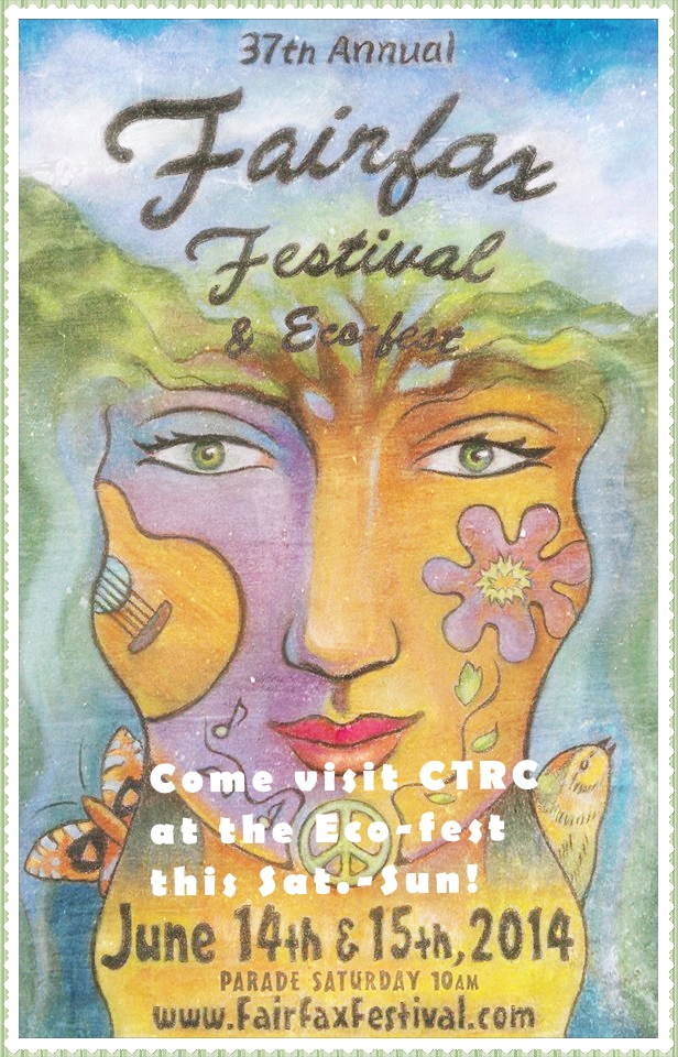 Fairfax Fest